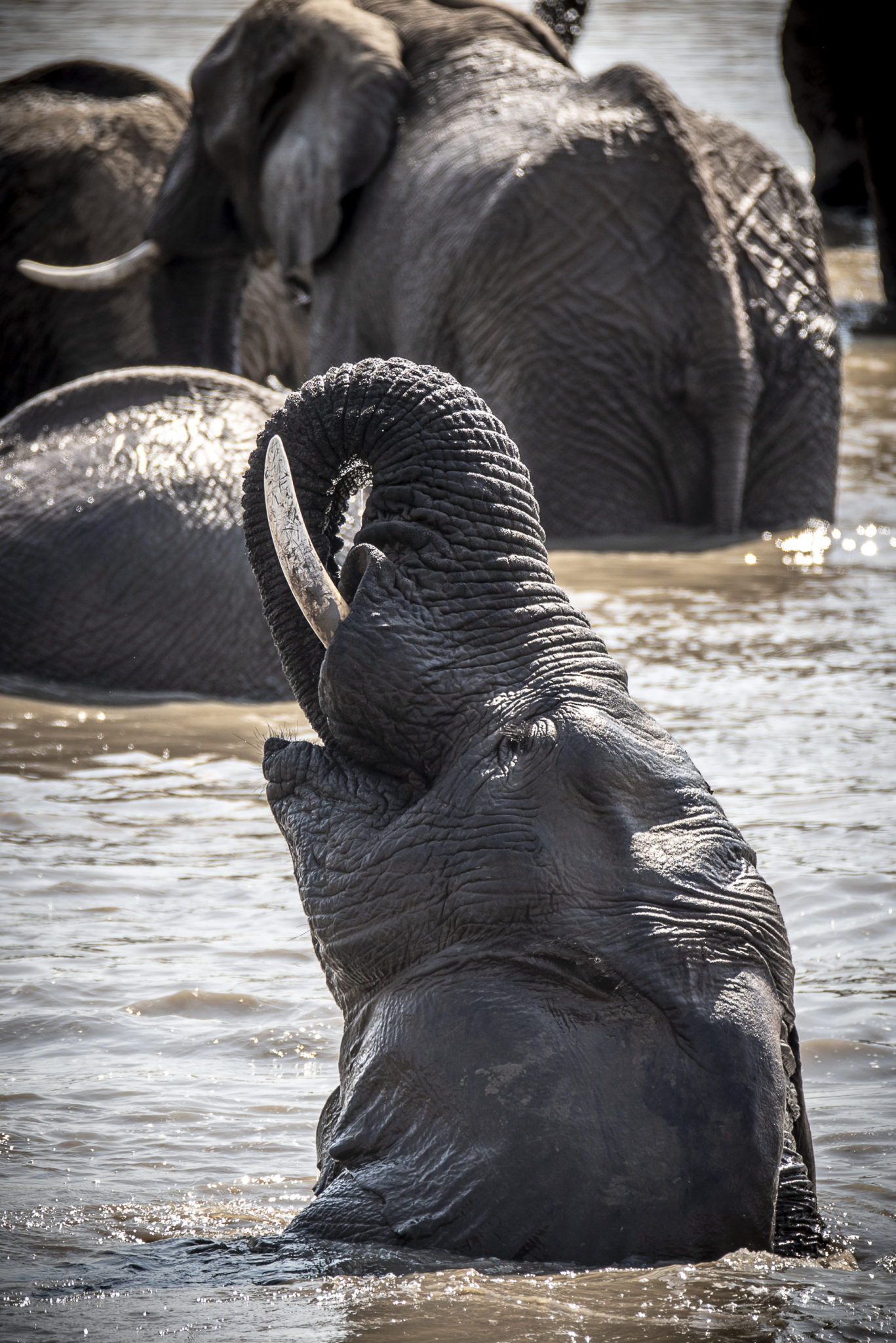 Play in the water – South Africa