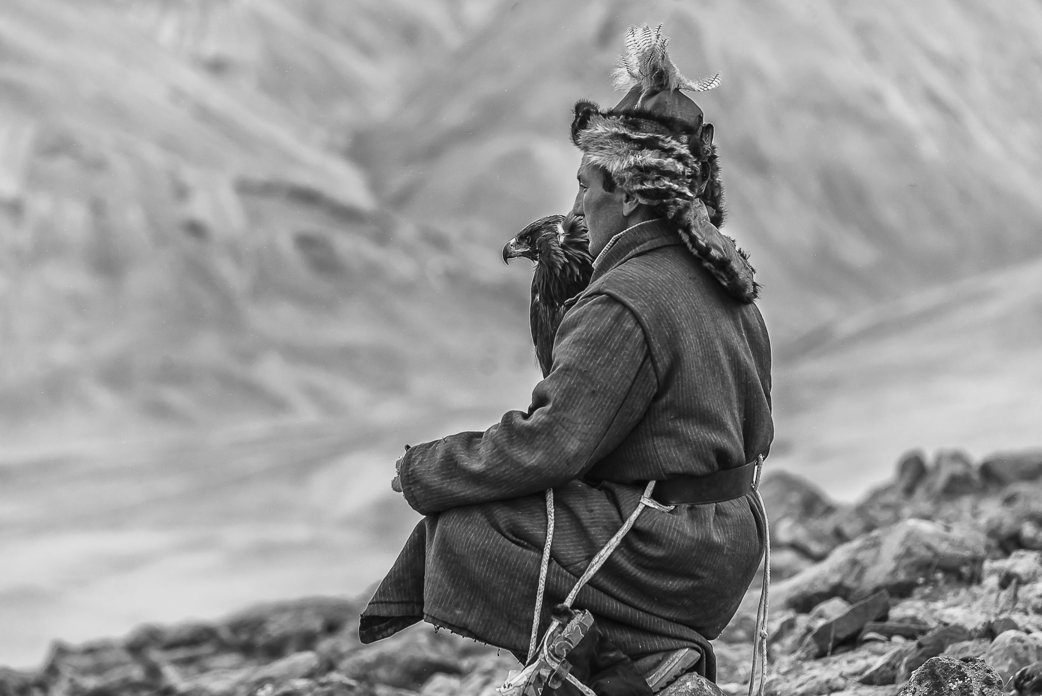 Waiting for the fox – Mongolia