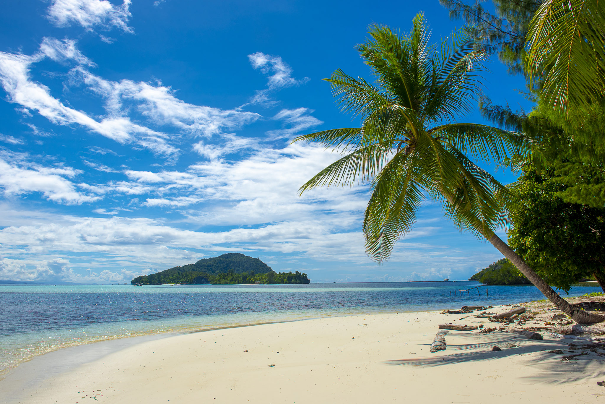 Beachview Raja Ampats – Indo Papua